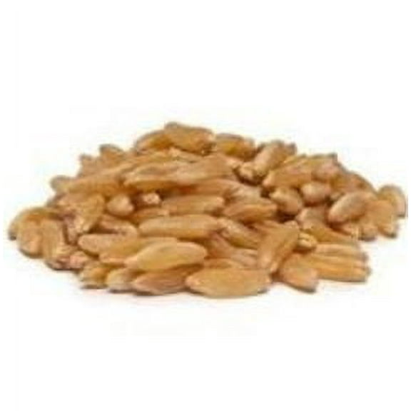 Bulk Grains 100% Organic Kamut Berries - Single Bulk Item - 25LB