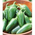 thumbnail image 1 of Bulk Jalapeno Pepper Seeds to Plant - 500 Seeds - Versatile Pepper for Eating and Seasoning. Made in USA. Ships from Iowa, 1 of 2