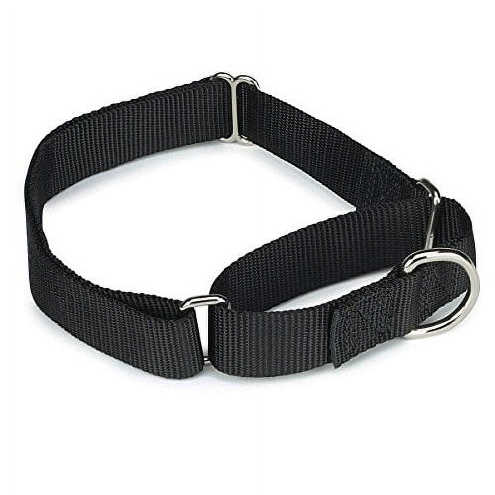 Bulk Lot Martingale Dog Collars at Wholesale Prices Nylon Collar Multi Packs(Black - 14 to 20 Inch 5 Collars)