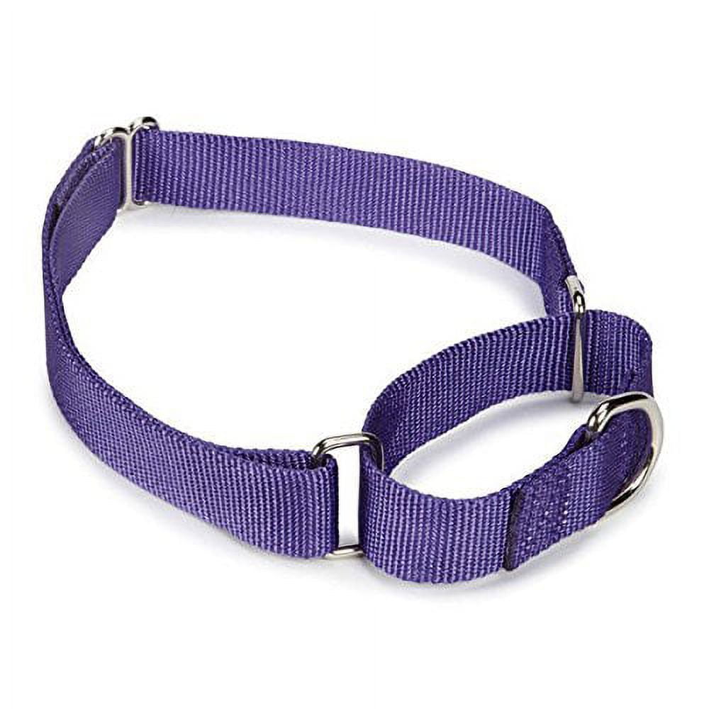 Bulk Lot Martingale Dog Collars at Wholesale Prices Nylon Collar Multi Packs(Purple - 14 to 20 Inch 5 Collars)