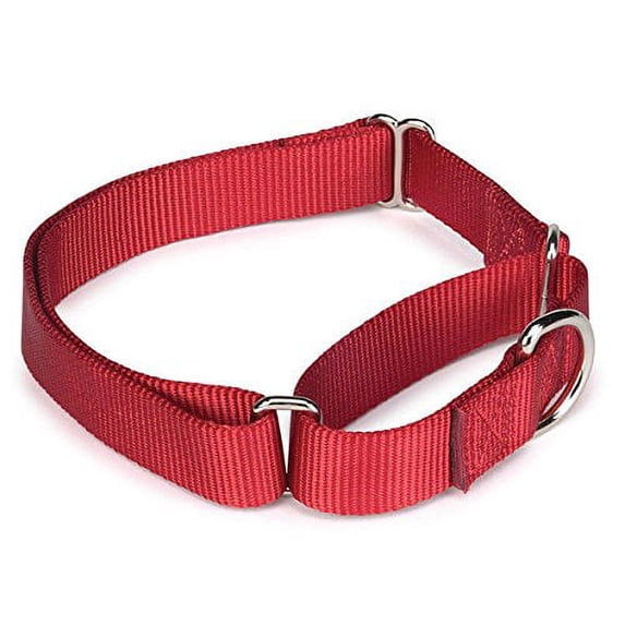 Bulk Lot Martingale Dog Collars at Wholesale Prices Nylon Collar Multi ...