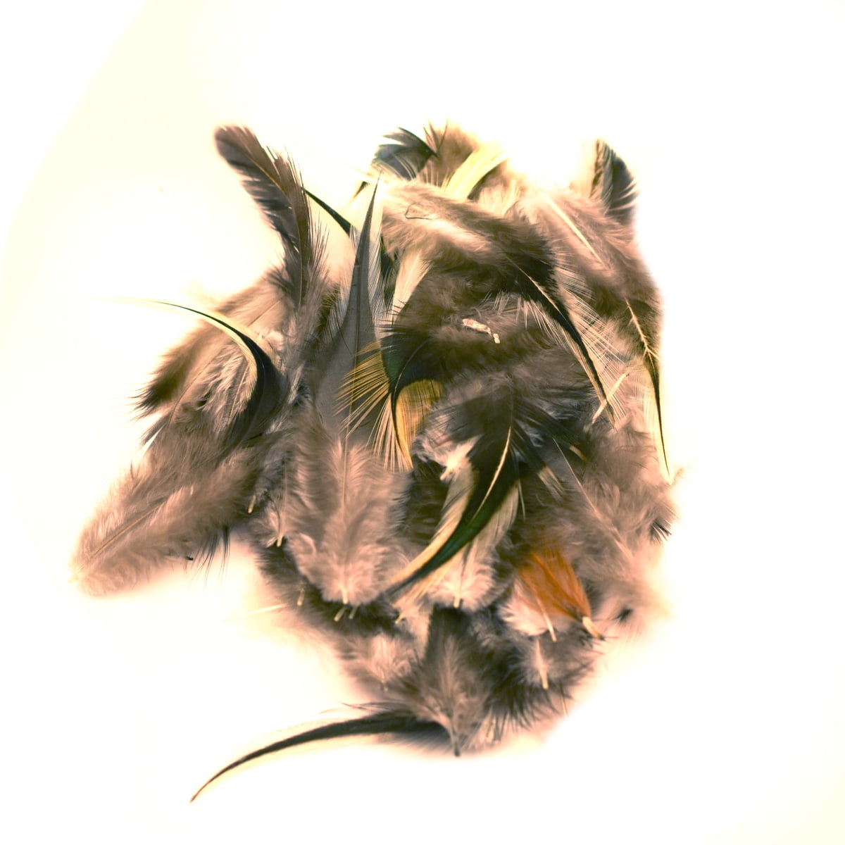 Badger Hackle Hat Feathers Feather Crafts Fly Tying Materials Fishing Tackle Badger Hackle Hat Feathers Feather Crafts Fly Tying Materials Fishing Tackle