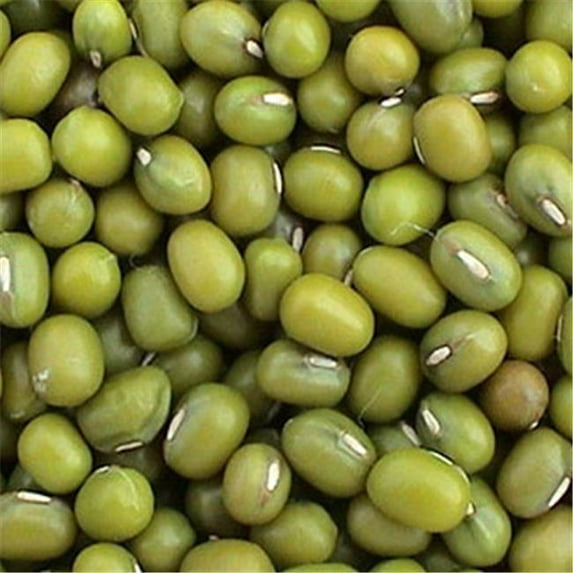 BULK PEAS AND BEANS ORGANIC # case of 25