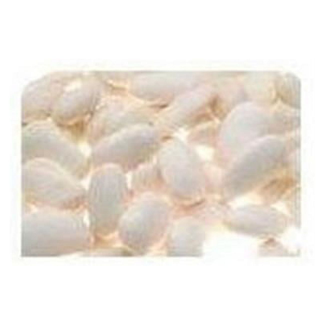 Bulk Peas And Beans Organic 100% Organic Navy Beans 25 Lbs