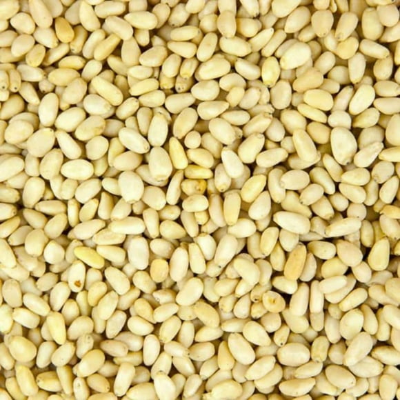 Bulk Pine Nuts (Pignolias) 10 Pound Wholesale Box - Fresh Pine Nuts