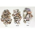 thumbnail image 1 of Bulk Rough Stones Assorted Crystals - Mixed Lot Collection, 1 of 3