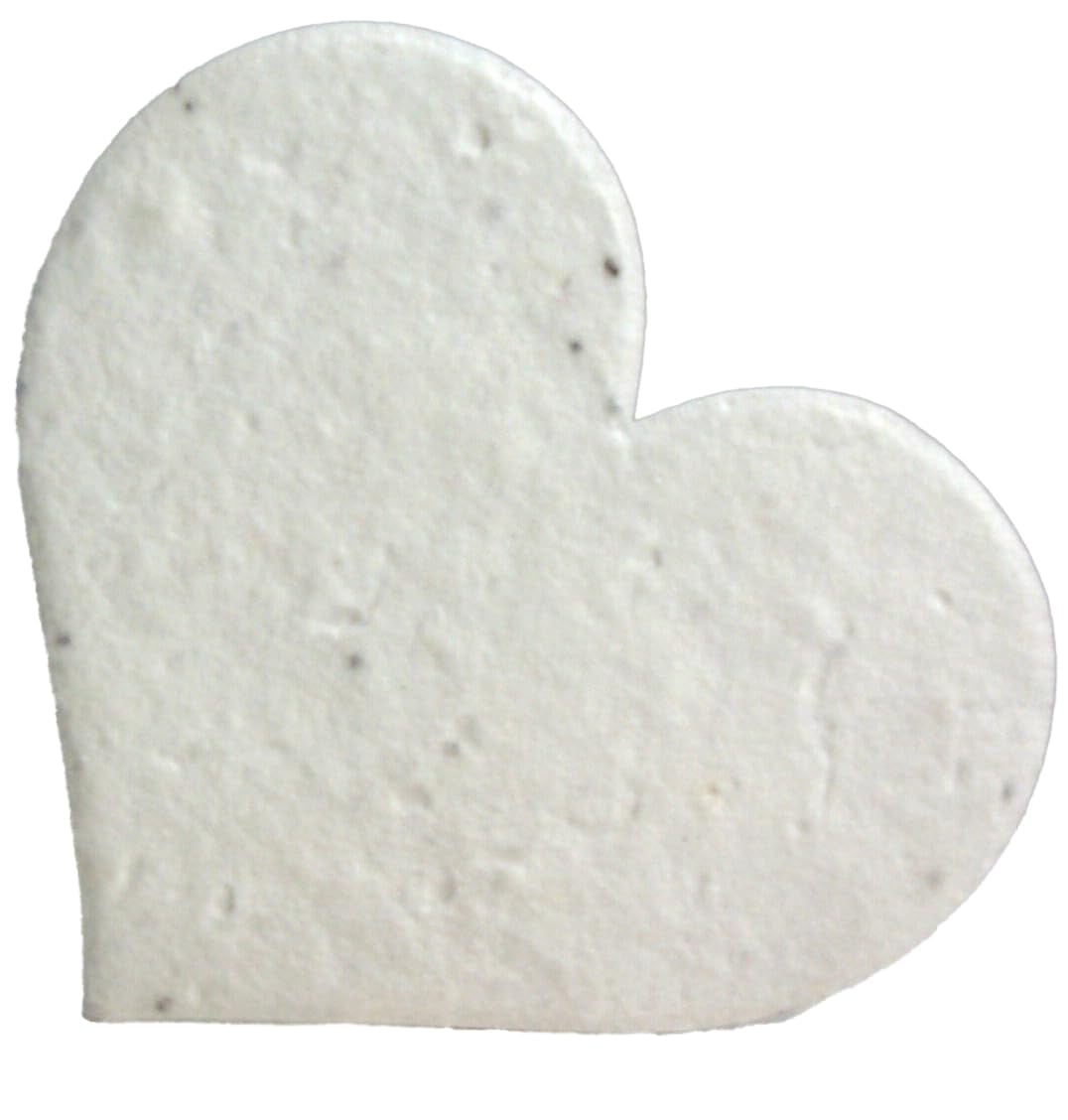 Bulk Seed Paper Large Hearts Recycled MVR1 Flower Petals Set of 100