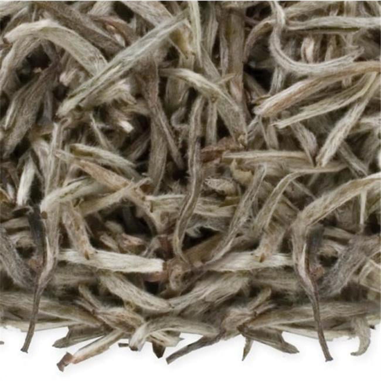 Silver Needles Tea Silver Needles Tea