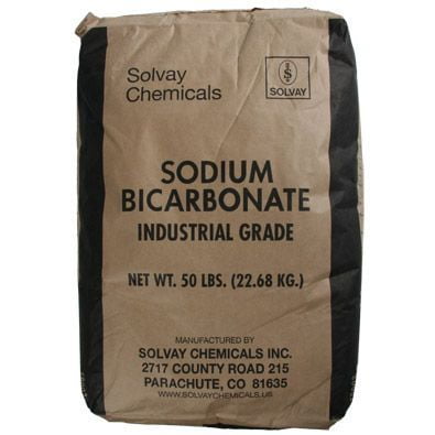 Bulk Sodium Bicarbonate (Alkalinity Increaser) - 50 lb. Bag