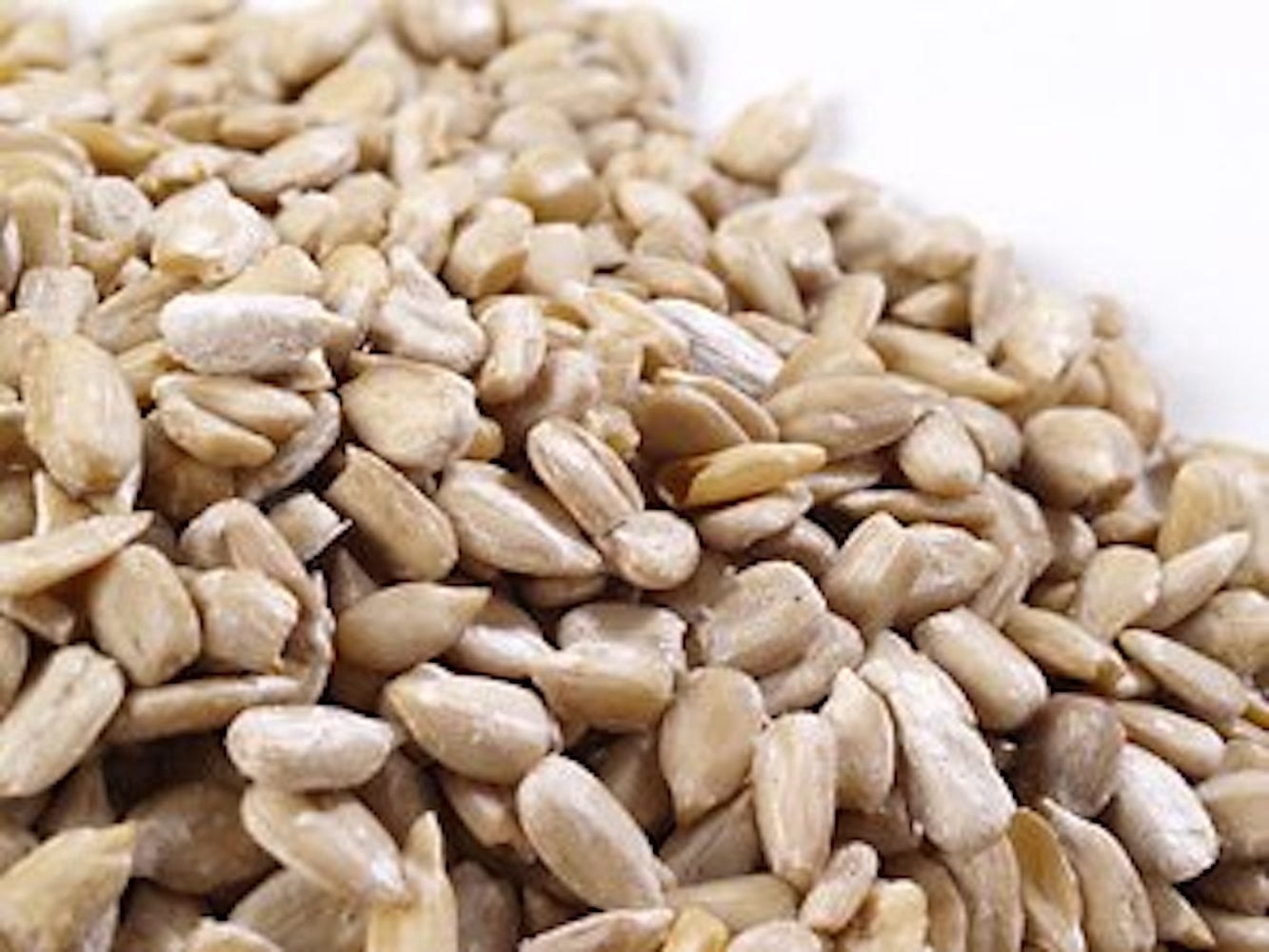 Bulk Sunflower Seeds 10 Pound Wholesale Box
