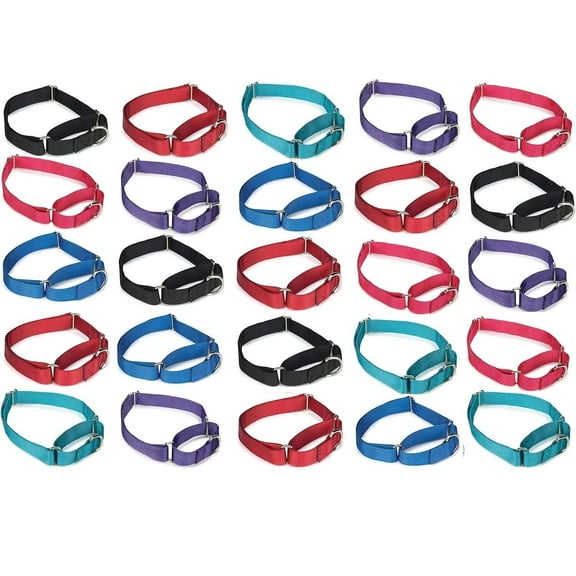 Bulk Wholesale Nylon Martingale Collars Shelter Rescue Vet Makes Great Donations (25 Collars 10 to 16 Inch)