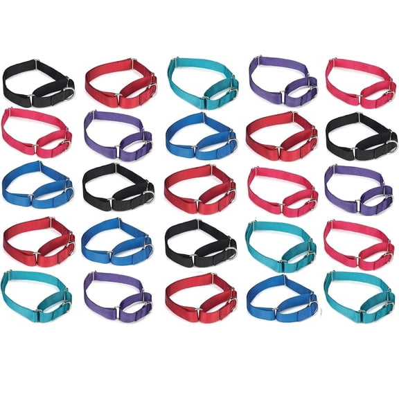 Bulk Wholesale Nylon Martingale Collars Shelter Rescue Vet Makes Great Donations (25 Collars 18 to 26 Inch)