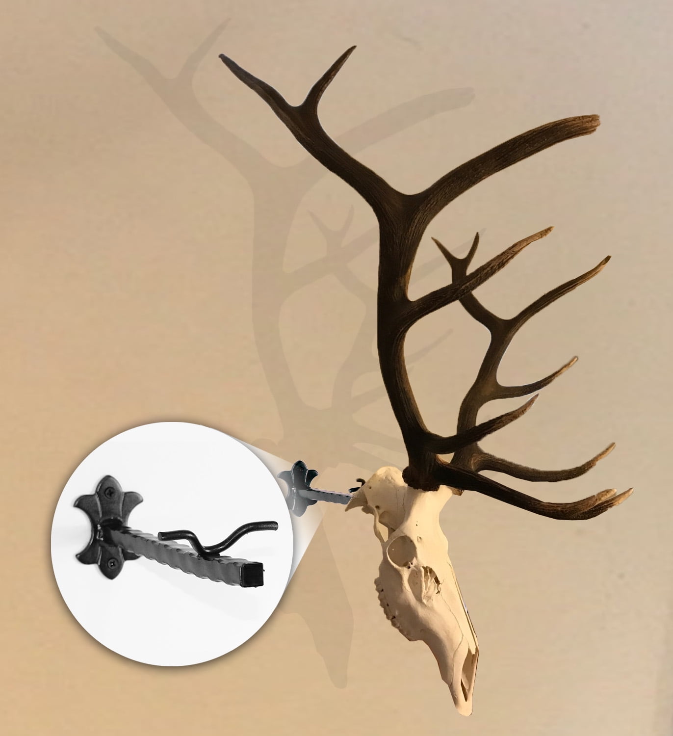 Bull Bracket by Skull Bracket, world's strongest skull hanger for