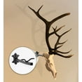 thumbnail image 1 of Bull Bracket by Skull Bracket, world's strongest skull hanger for elk.  Oil Rubbed Bronze.  Made in USA., 1 of 5
