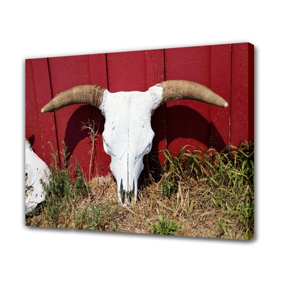 Bull Bull Skull Horns Cow Beef Canvas Poster Bedroom Decor Sports Landscape Office Room Decor Gift,Frame-style,16x24inch(40x60cm)