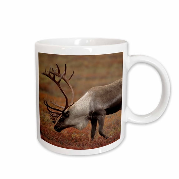 3drose, Bull Caribou Wildlife, Denali, Alaska, Usa - Us02 Gre0155 - Gerry Reynolds, 11oz Mug