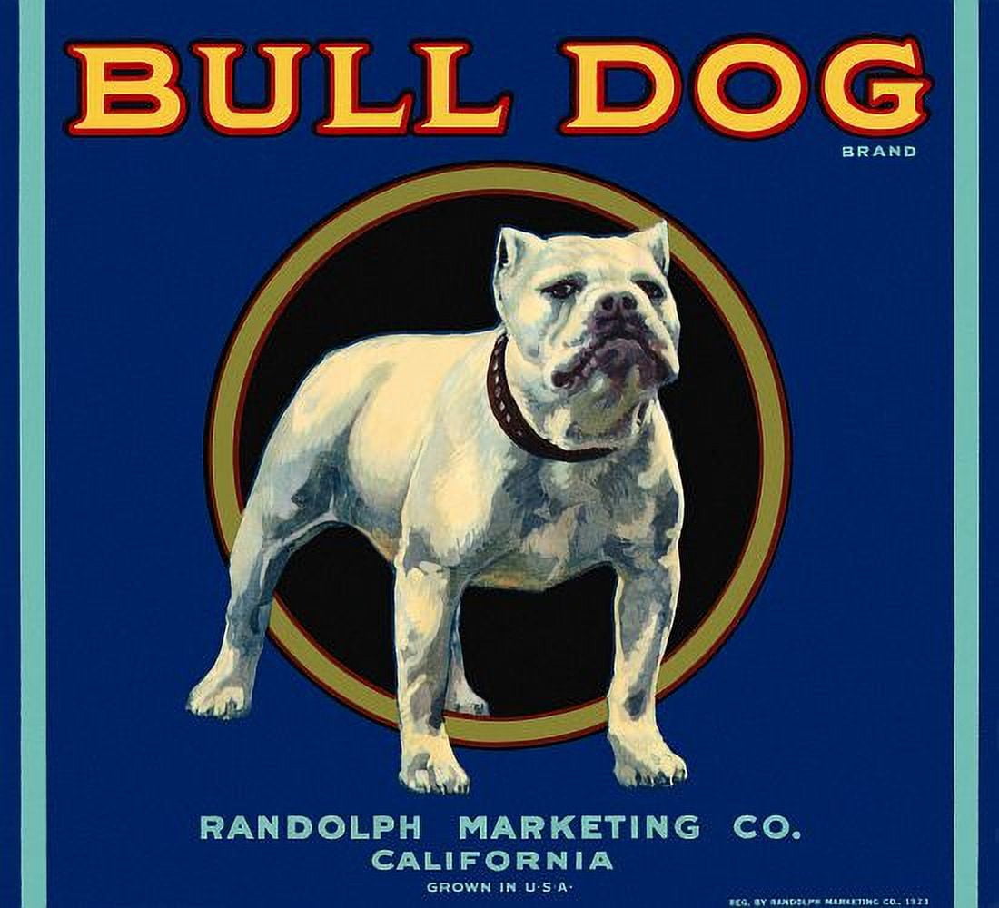 Bull Dog label Canvas Art - (24 x 36)