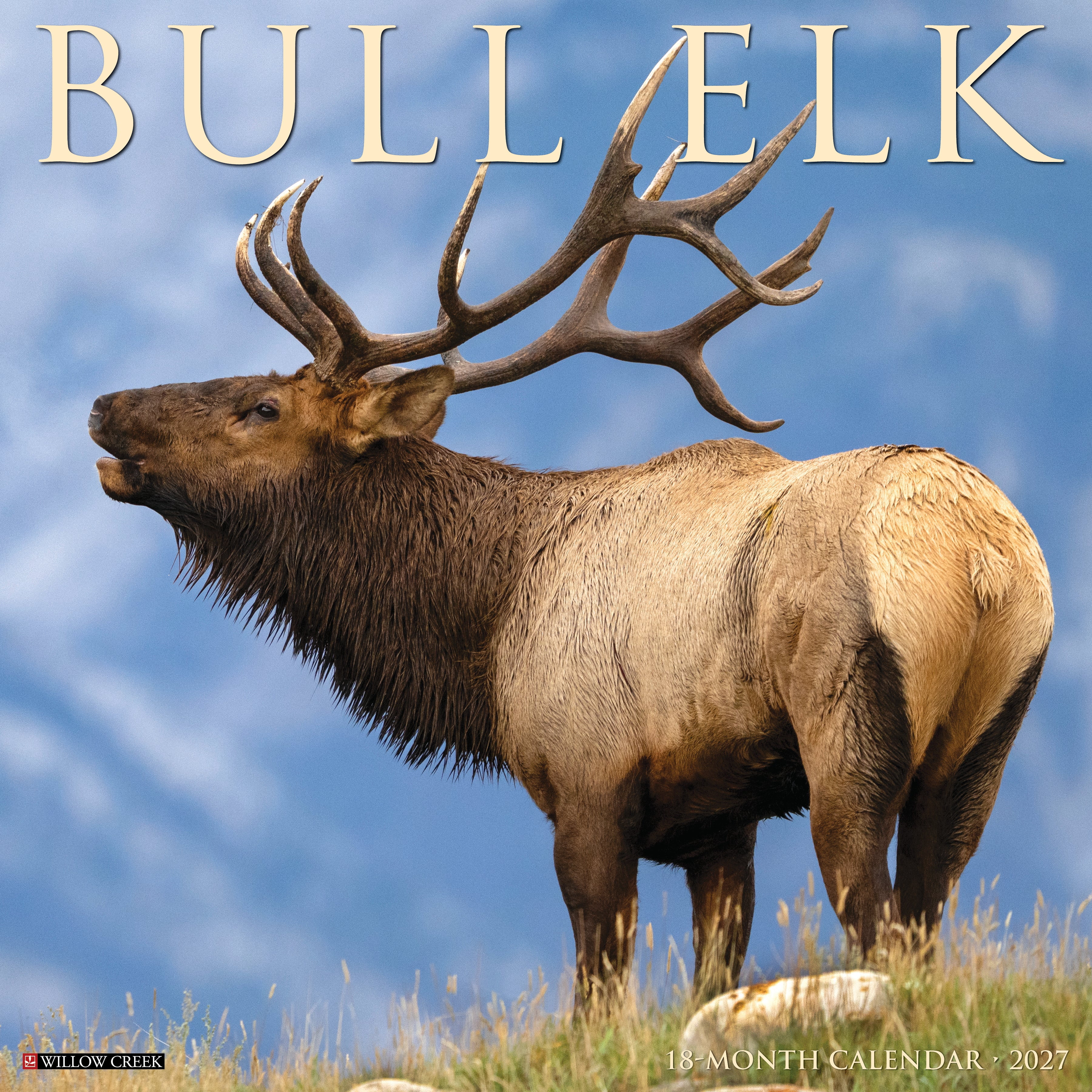 Willow Creek Press, Bull Elk 2027 Wall Calendar