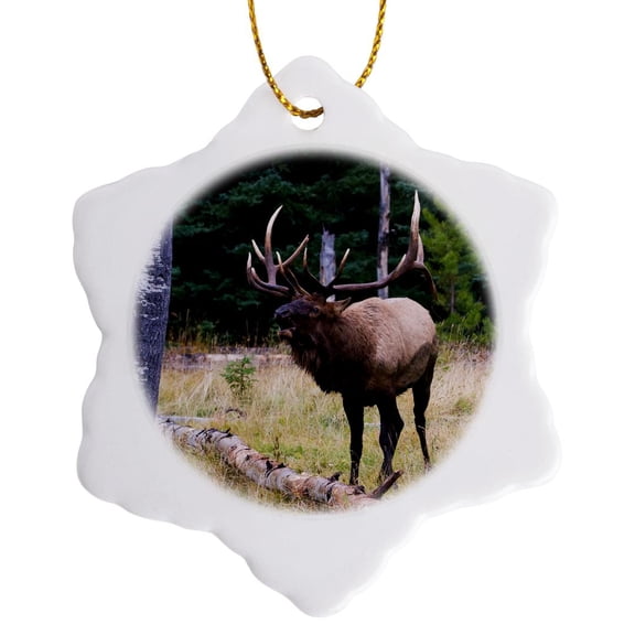 3drose, Bull Elk Bugling, 3 inch Snowflake Porcelain Ornament