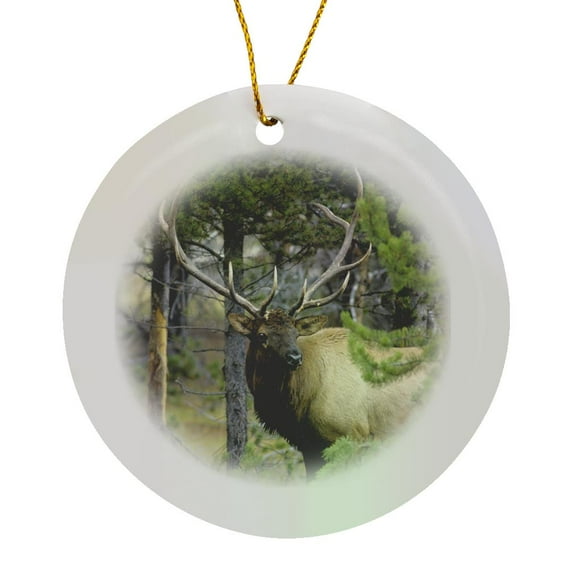 3drose, Bull Elk in Pines Listening for Danger, Yellowstone Np, Wyoming., Circle Porcelain Ornament