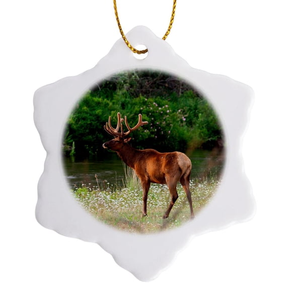 3drose, Bull Elk in the National Bison Range, Montana, 3 inch Snowflake Porcelain Ornament