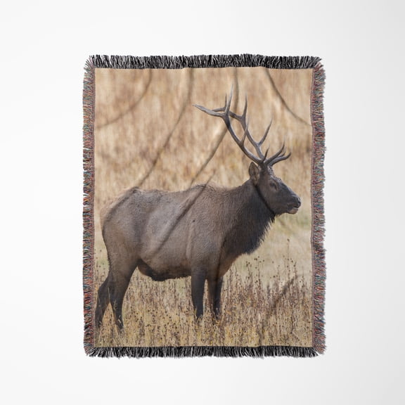Bull Elk, Yellowstone National Park, Wyoming, Woven Blanket