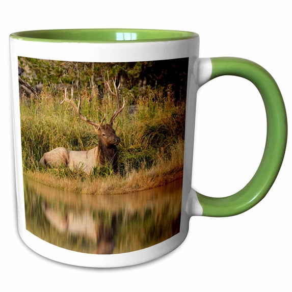 Bull Elk along Madison River, Yellowstone National Park, Wyoming. 11oz Two-Tone Green Mug mug-260571-7