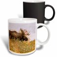 thumbnail image 1 of 3drose, Bull Moose Running Through Fall Grass, 11oz Magic Transforming Mug, 1 of 7