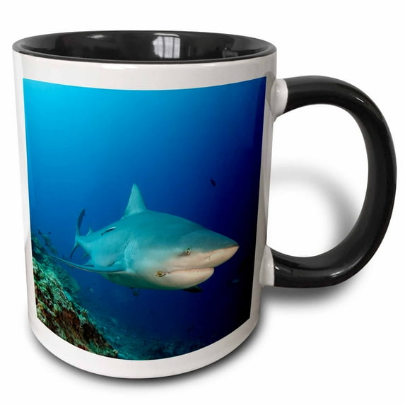 3drose, Bull Shark, Carcharhinus Leucas, Benga Lagoon, Viti Levu, Fiji., 11oz Two-tone Black Mug