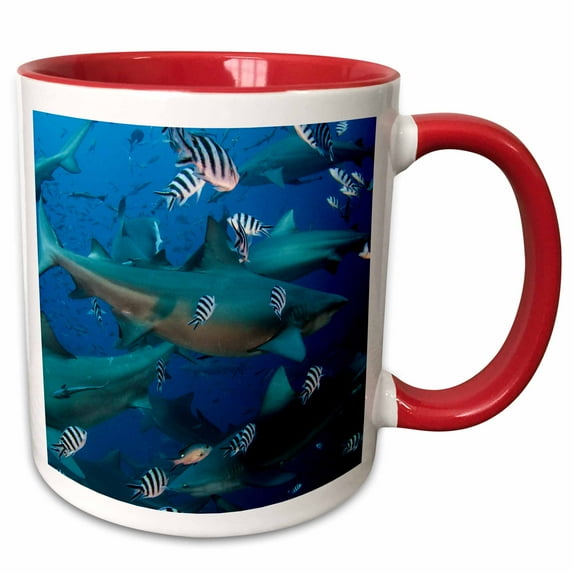 3drose, Bull Shark, Carcharhinus Leucas, Fiji., 15oz Two-tone Red Mug