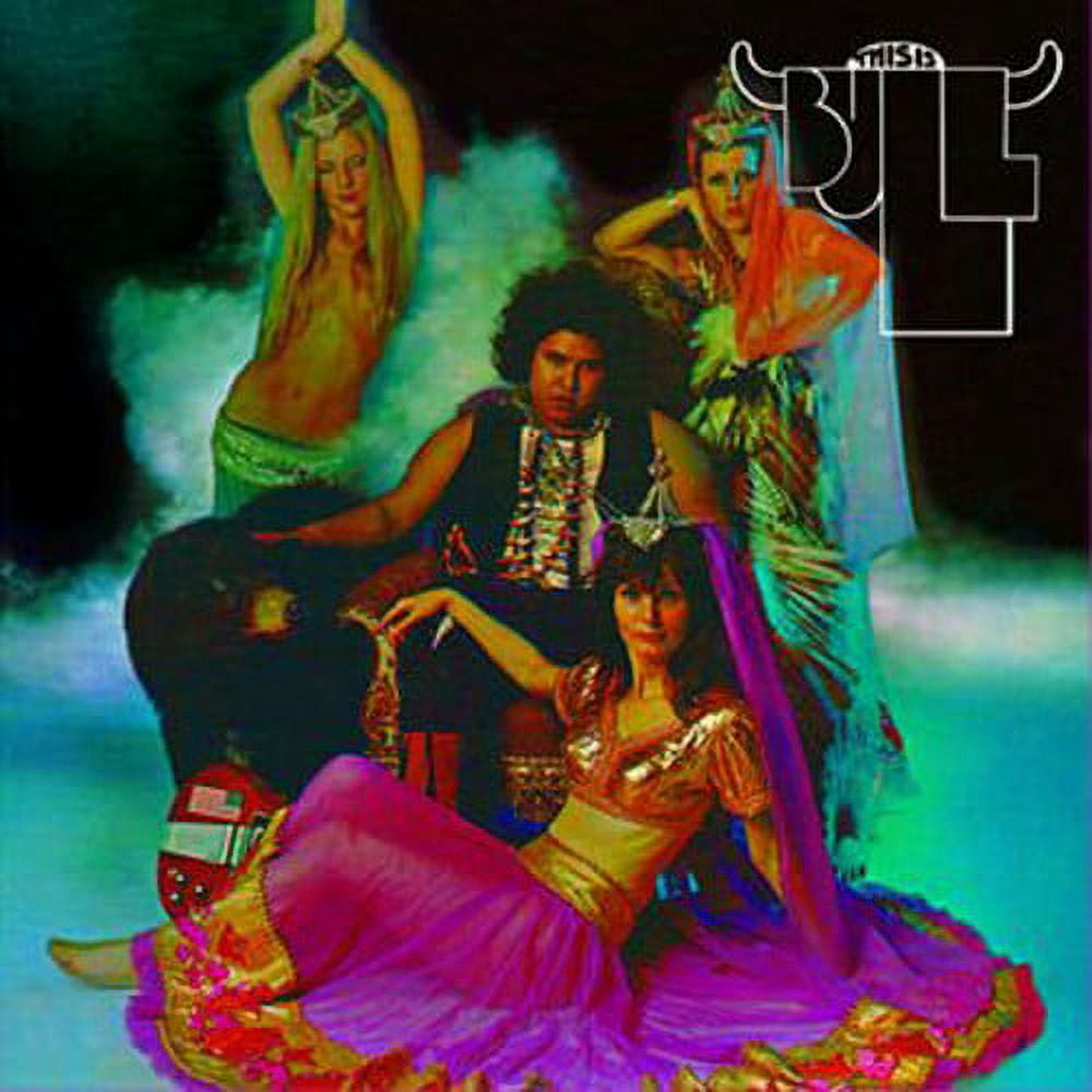 Bull - This Is Bull - Rock - CD - Walmart.com