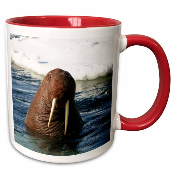 3drose, Bull Walrus, 11oz Two-tone Red Mug