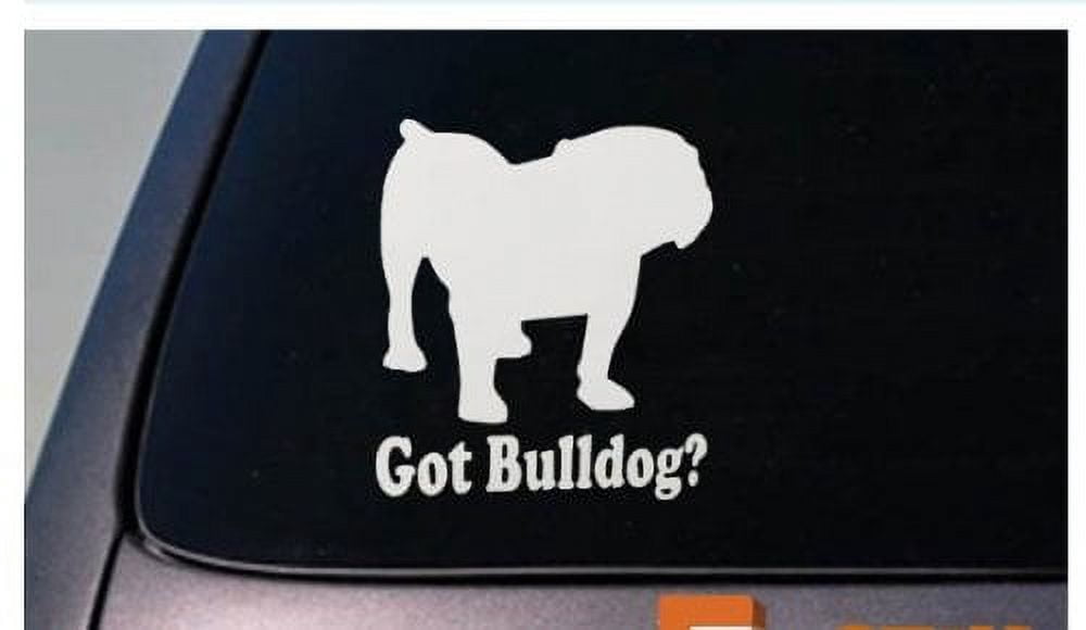 Bulldog 6