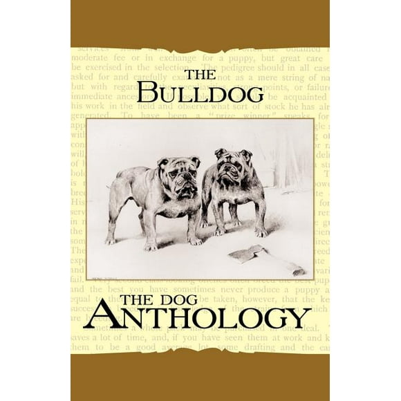 Bulldog