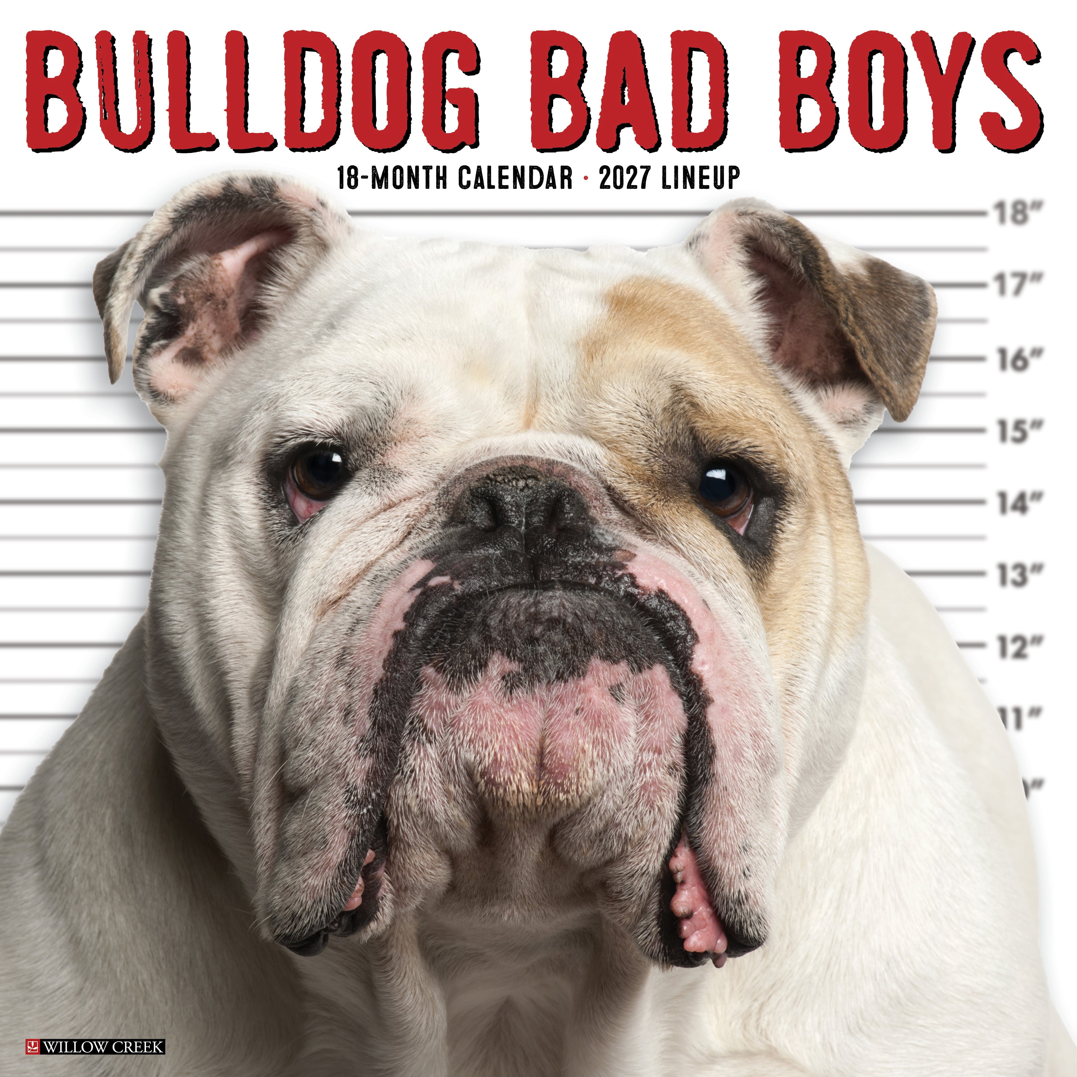 Willow Creek Press, Bulldog Bad Boys 2027 Wall Calendar
