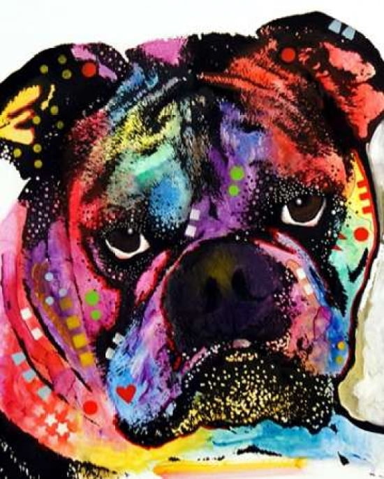 Bulldog Canvas Art - Dean Russo (22 x 28)