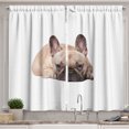 thumbnail image 1 of Bulldog Curtains 2 Panels Set, Canine in a Funny Pose Darling Domestic Pet Photo for Animal Lovers, Window Drapes for Living Room Bedroom, 55W X 39L Inches, Sand Brown Pale Pink Black, by Ambesonne, 1 of 3