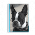 thumbnail image 1 of Bulldog Pet Animal Dark Picture Book Sheet Protectors Portfolio Binder Folder, 1 of 3