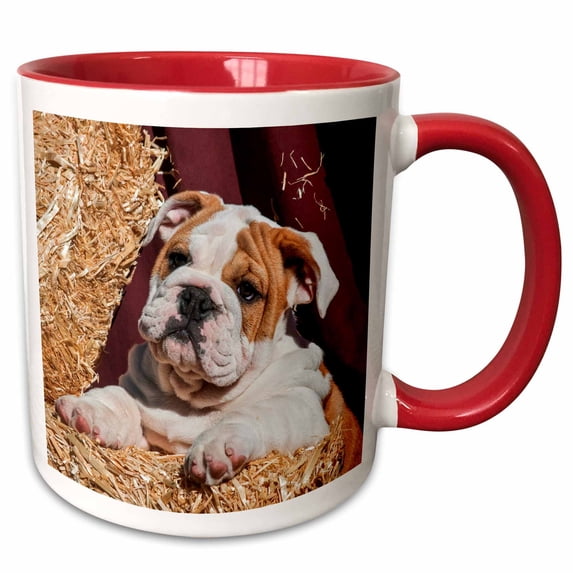 3drose, Bulldog Puppy Lying on Hay Bales, Mr, 11oz Two-tone Red Mug
