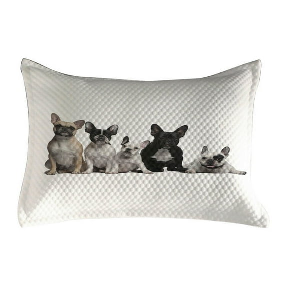 Bulldog Quilted Pillowcover, Group of Young French Bulldogs with Expressions Animal Lover Photo, Standard King Size Accent Pillow Cover for Bedroom, 36" x 20", Black White Beige, by Ambesonne