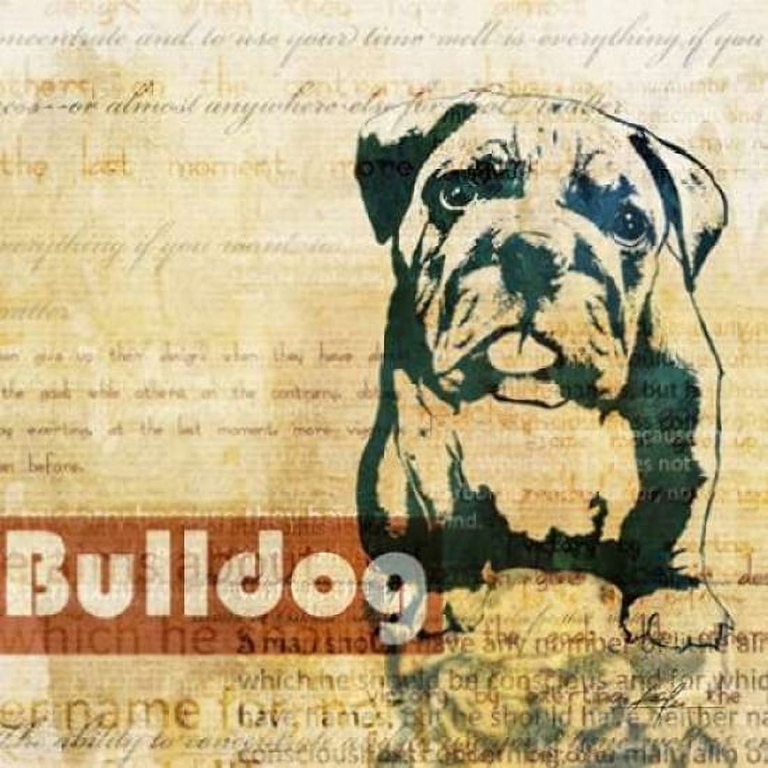 Bulldog Sketch Canvas Art - Ken Roko (24 x 24)