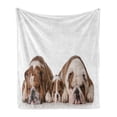 thumbnail image 1 of Bulldog Soft Flannel Fleece Throw Blanket, Real Life Image of 3 Generation Animals Side by Side on a Plain Background, Cozy Plush for Indoor and Outdoor Use, 50" x 60", Umber and White, by Ambesonne, 1 of 6