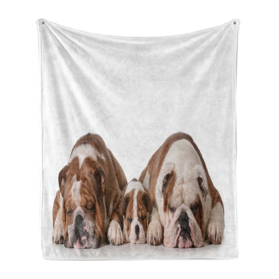 Bulldog Soft Flannel Fleece Throw Blanket, Real Life Image of 3 Generation Animals Side by Side on a Plain Background, Cozy Plush for Indoor and Outdoor Use, 50" x 60", Umber and White, by Ambesonne