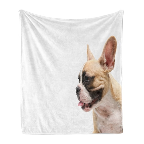 Bulldog Soft Flannel Fleece Throw Blanket, Side View of a French Bulldog with the Tongue out on a Plain Backdrop, Cozy Plush for Indoor and Outdoor Use, 50" x 60", White and Multicolor, by Ambesonne