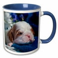 thumbnail image 1 of Bulldog puppy laying on blue blanket, MR 11oz Two-Tone Blue Mug mug-258132-6, 1 of 3