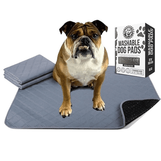Bulldogology