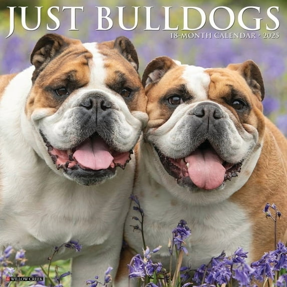 Bulldogs 2026 12 X 12 Wall Calendar, (Hardcover)
