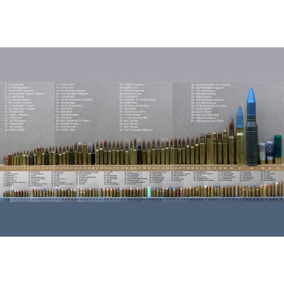 Bullet Caliber Comparison Chart Poster Metal Sign 8Inx 12In Print On Metal 8x12 Square Adults Best Posters