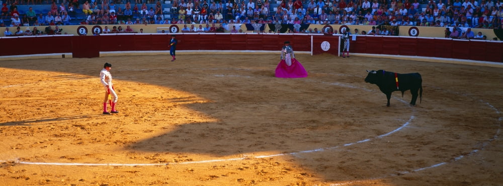 Bullfighter ready for bullfight Marbella Malaga Province Andalusia Spain Canvas Art - Panoramic Images (36 x 12)