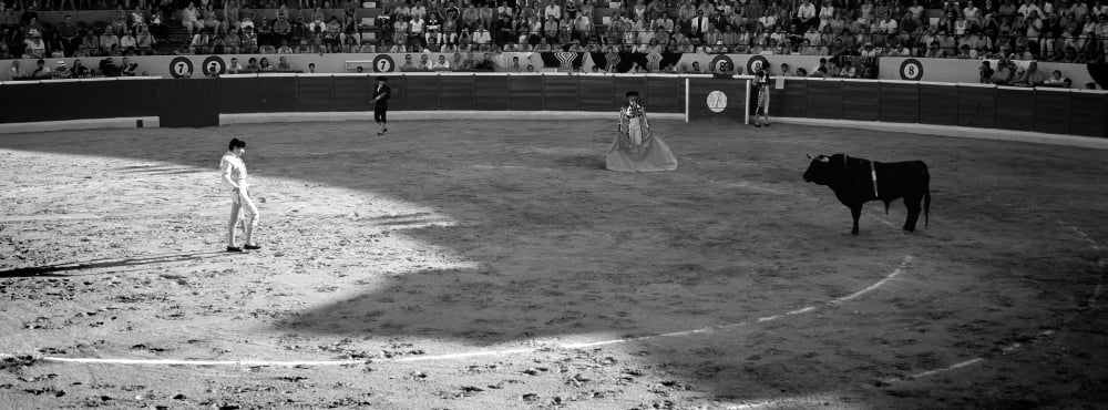 Bullfighter ready for bullfight Marbella Malaga Province Andalusia Spain Canvas Art - Panoramic Images (36 x 12)